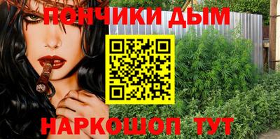 стаф Краснодар