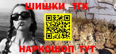 стаф Краснодар