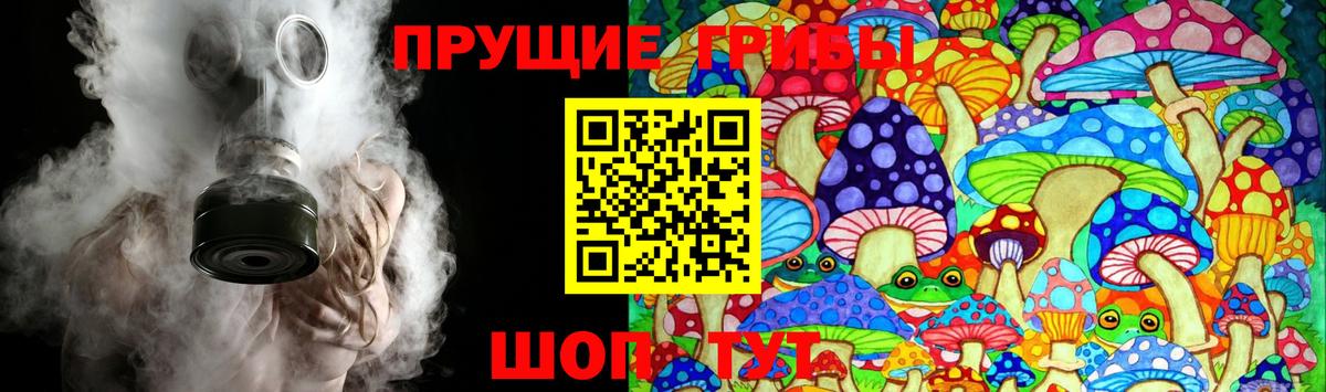 Псилоцибиновые грибы Cubensis Камышин