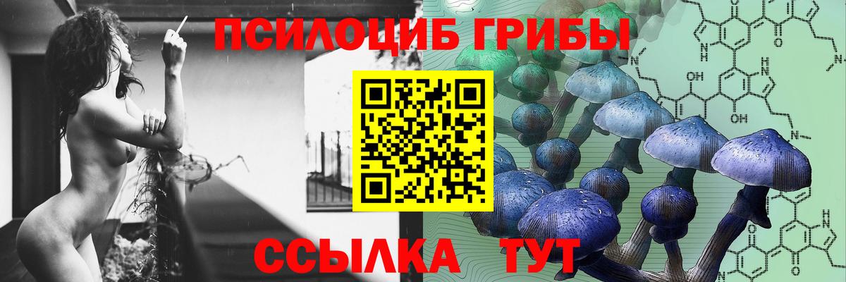 Камышин  Псилоцибиновые грибы мицелий  Галлюциногенные грибы Psilocybine cubensis  Вход с VPN 